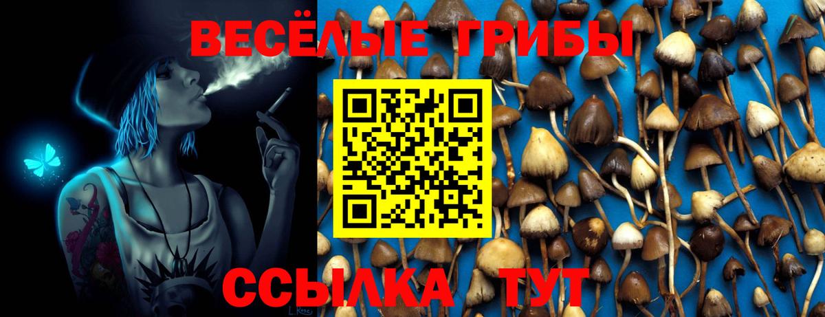 Тавда  Псилоцибиновые грибы GOLDEN TEACHER  Галлюциногенные грибы Psilocybine cubensis  Вход с VPN 